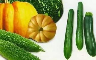 余乐吃瓜,揭秘娱乐圈幕后故事 第1张 余乐吃瓜,揭秘娱乐圈幕后故事 第1张