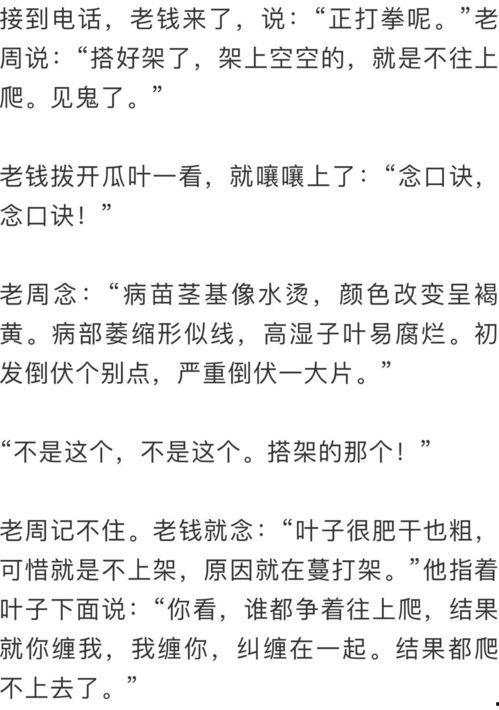 时光如梭吃瓜群众,吃瓜群众见证时代变迁 第3张 时光如梭吃瓜群众,吃瓜群众见证时代变迁 第3张